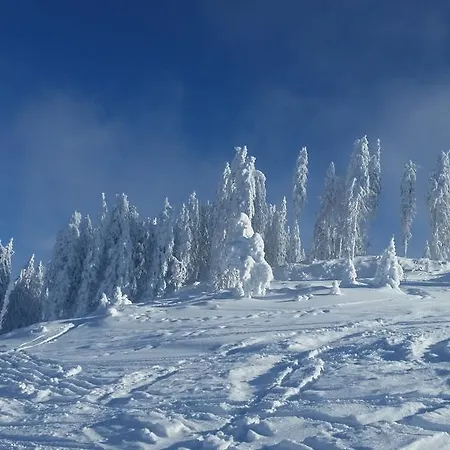 בית הארחה Barbara